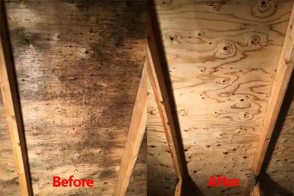 water damage restoration service Plain City